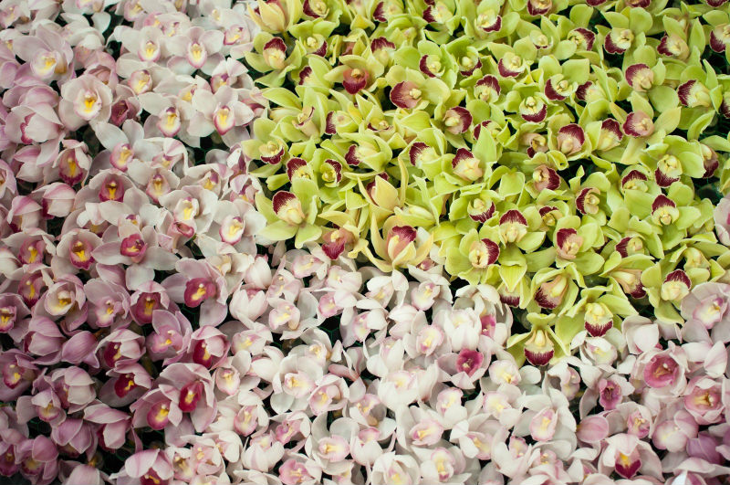 花