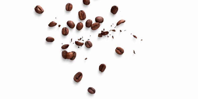 コーヒー豆の砕けた粒。いい香りが漂ってきそう