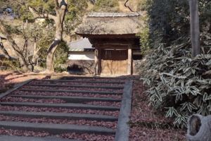 円覚寺の居士林